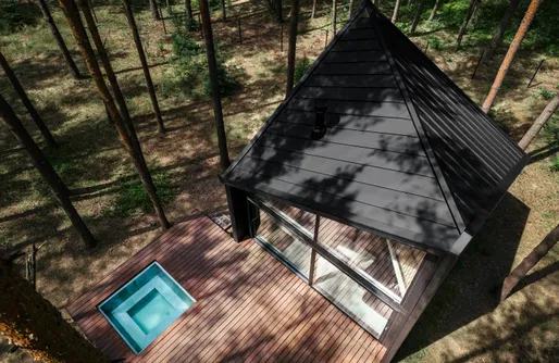 Zdjęcie obiektu boroteka