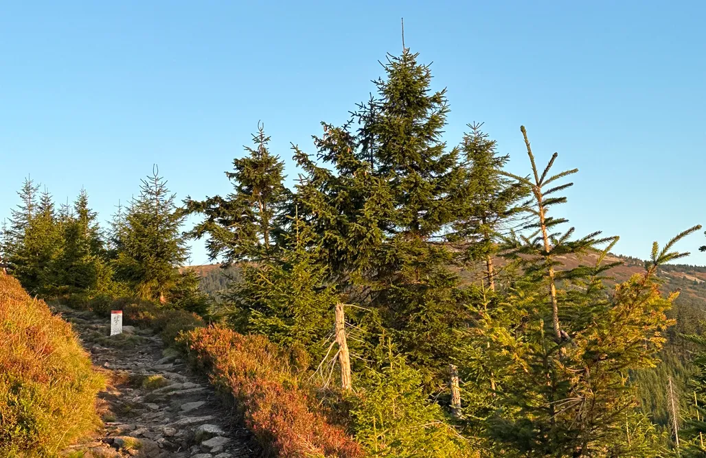 AlohaCamp Młynowiec 4Rest dom 1 1