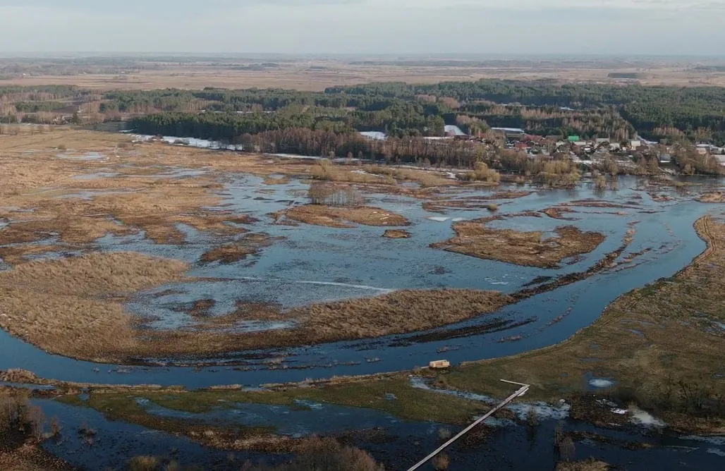 Camping Miejsce kamperowe i namiotowe - Camping NARVA 1