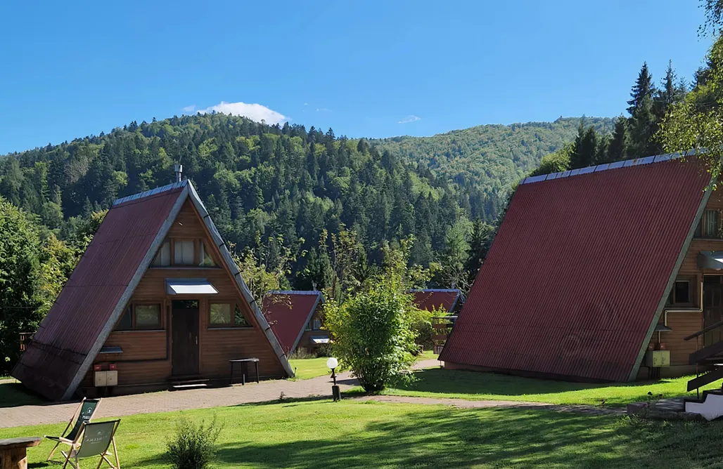 Wczasy z psem nad morzem Perełka Bieszczady - domki Brda 3