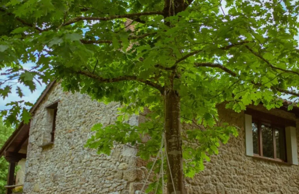 AlohaCamp El Pajar 1