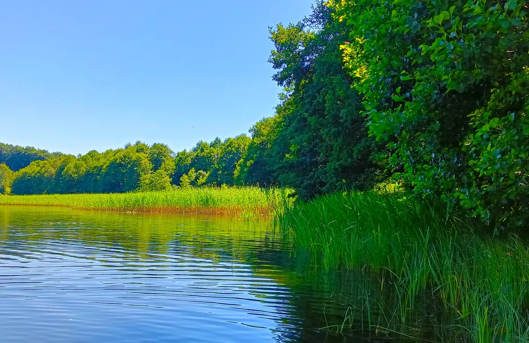 Wakacje Na Kaszubach Marchówka 3