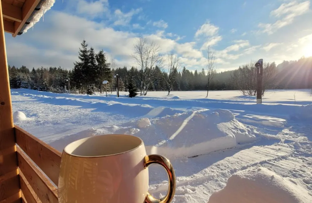 Villa Woodbox Istebna Jacuzzi + Sauna 1