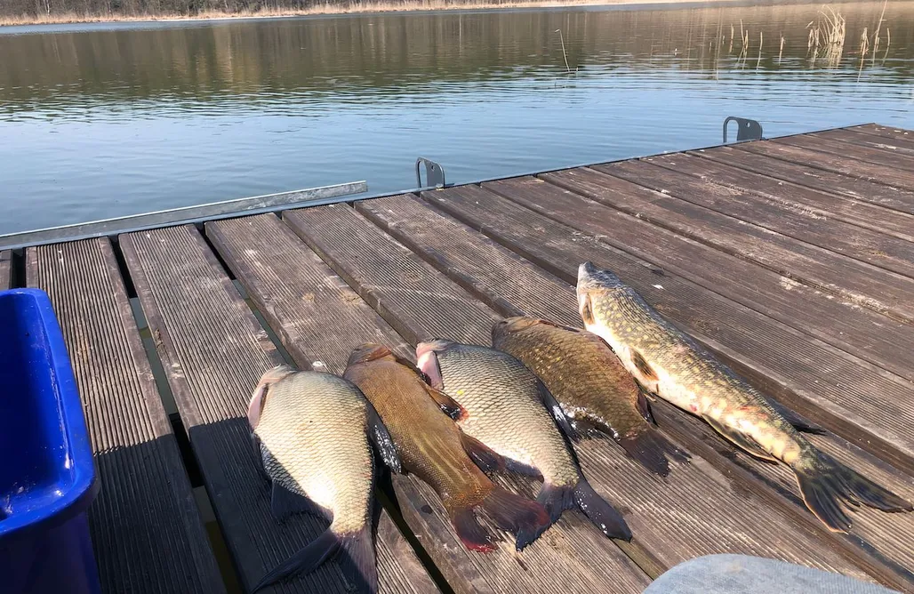 AlohaCamp accommodation Dom na Jeziorze Smarzewskim  1