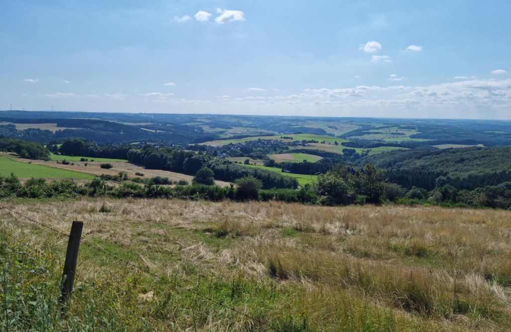 Unterkunft AlohaCamp Cottage am Michelsberg 5