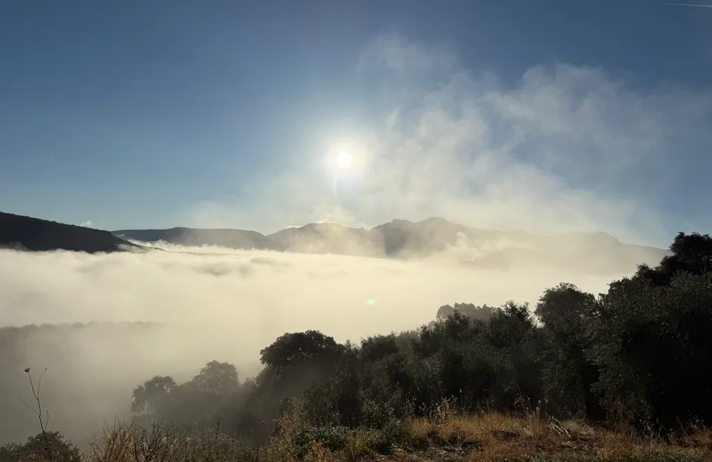 Unterkunft AlohaCamp Cortijo Rodeo Alojamiento Rural 1