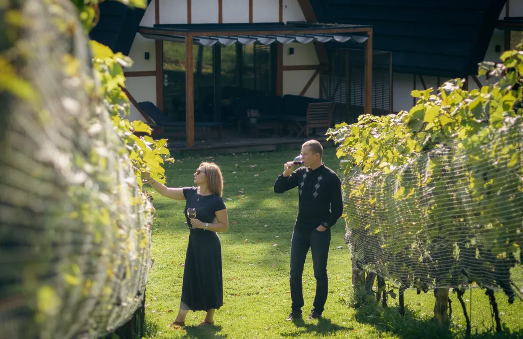 Pole Namiotowe Zakopane Miejsce kamperowe - Winnica Sen&Wino 2