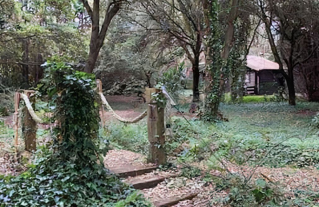 noclegi AlohaCamp Cabaña de ensueño en el bosque y junto al mar 5