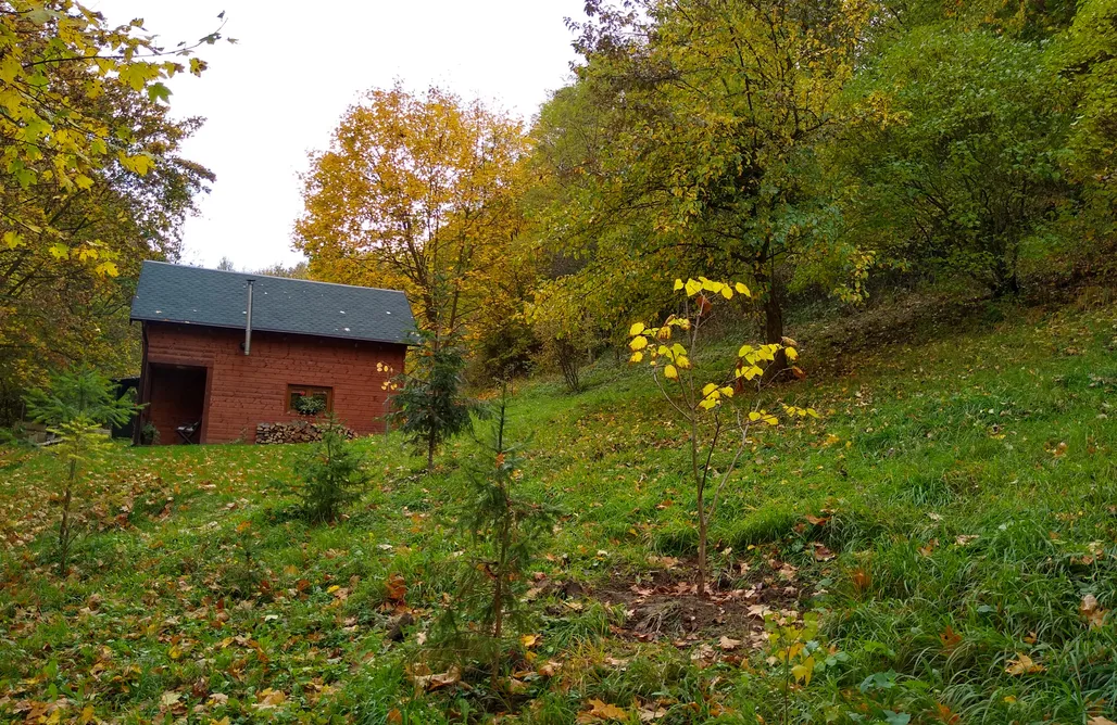 Ostoja nad Notecią AlohaCamp