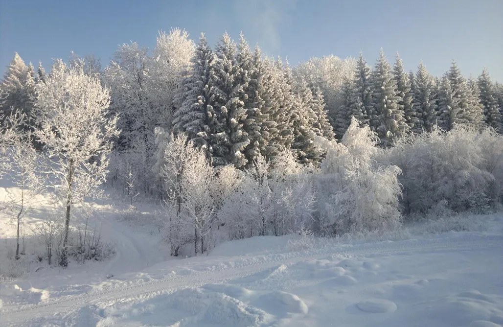 AlohaCamp Sielanka 1