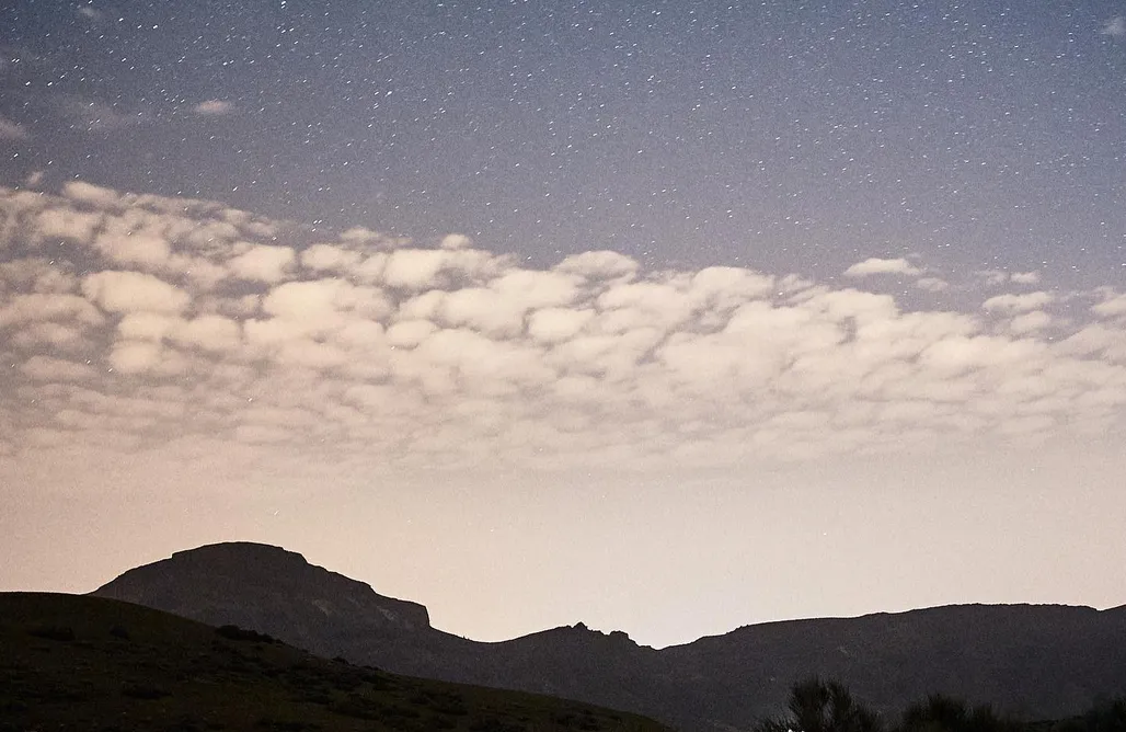 noclegi AlohaCamp Vineyard Eladio 1