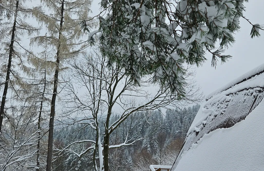 hebergement AlohaCamp Gawlicówka  4