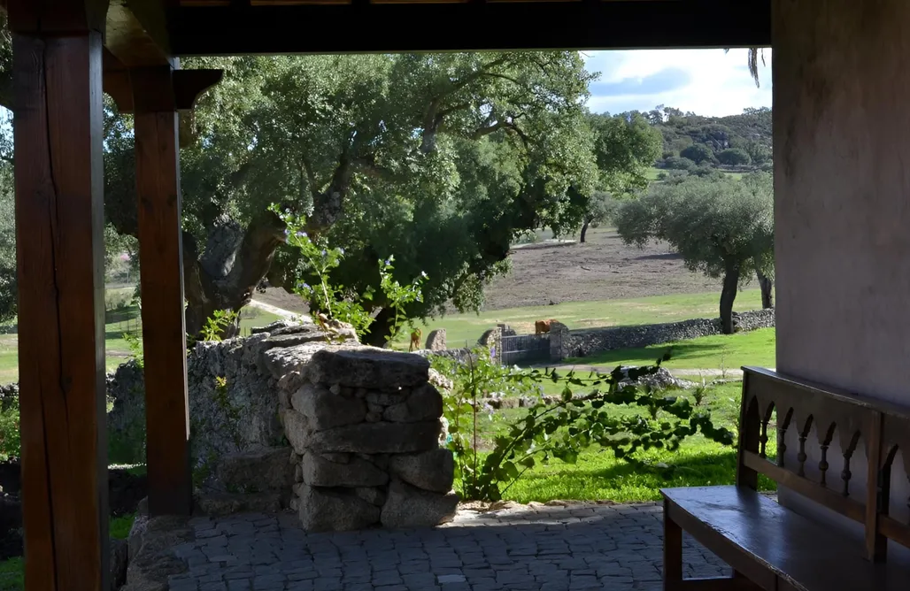 AlohaCamp accommodation Casa Sola Suite 1