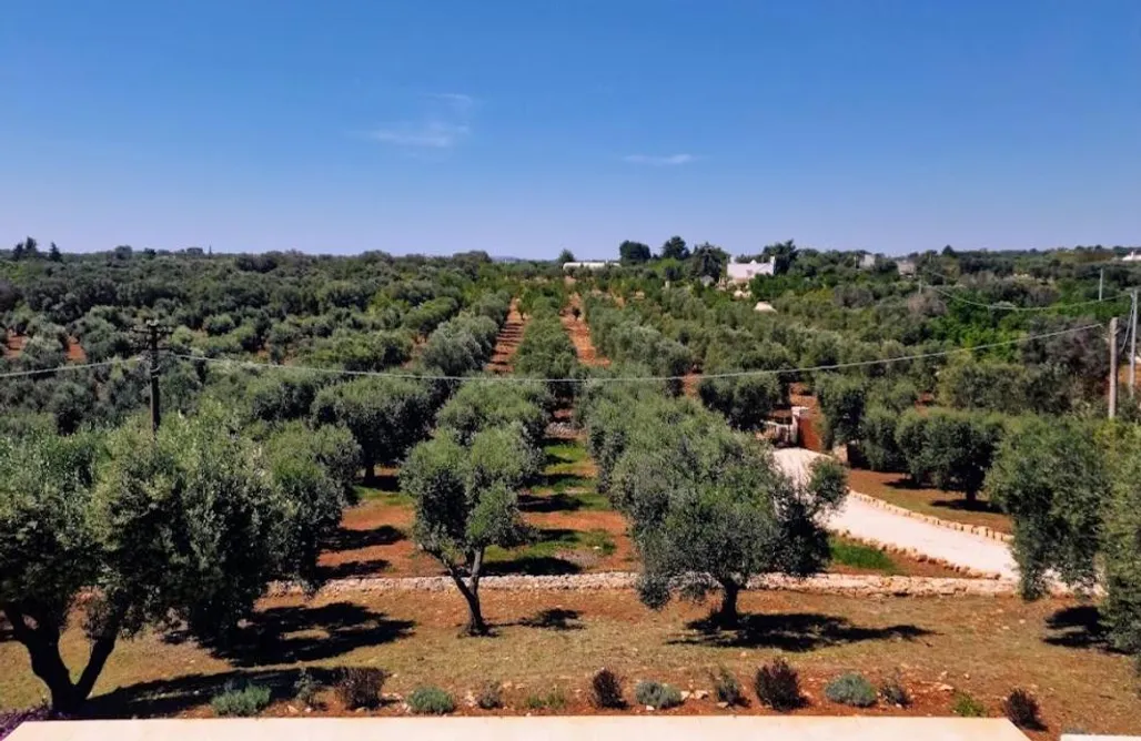 Alloggi AlohaCamp Villa collinare con piscina privata by ItriaLuxuryStays 5