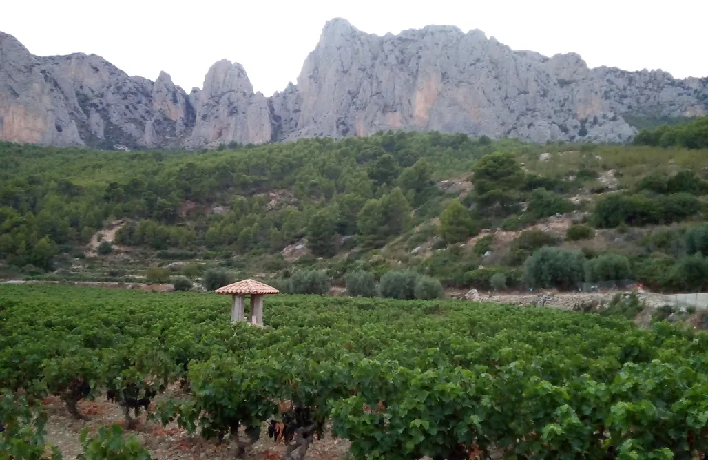 AlohaCamp accommodation Torre de Arriba Casa Rural 5