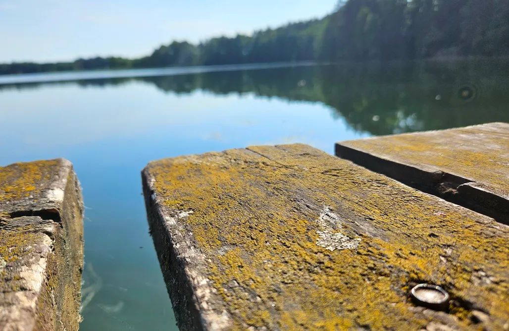 noclegi AlohaCamp Dom na skraju lasu Rypin 1