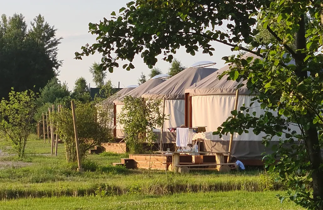 Ale Wioska AlohaCamp