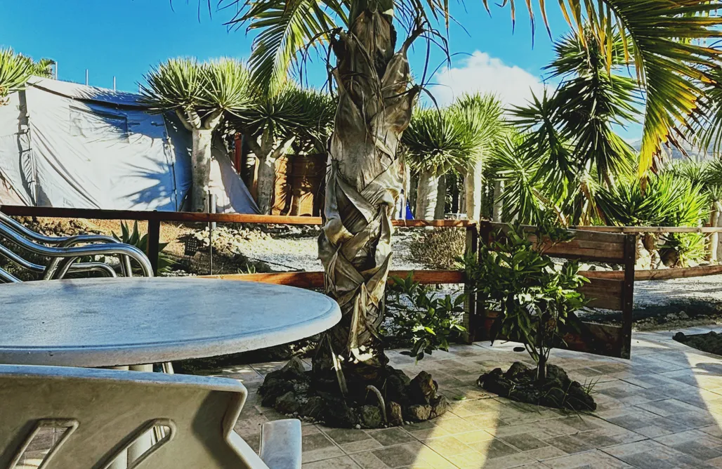 AlohaCamp Cabaña C4 1