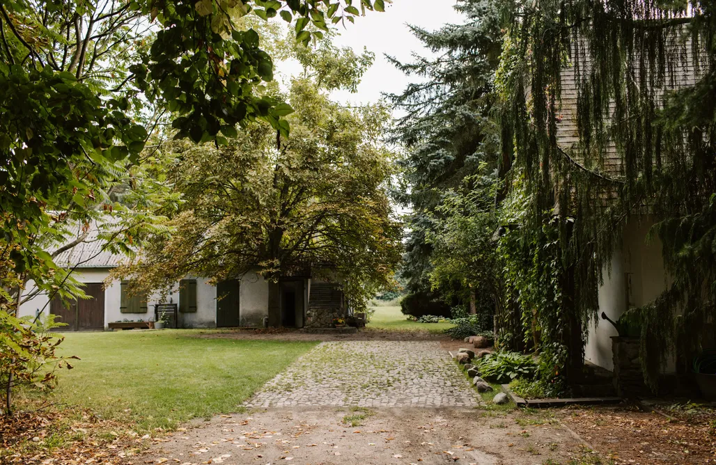 AlohaCamp Ptasie Szepty 1