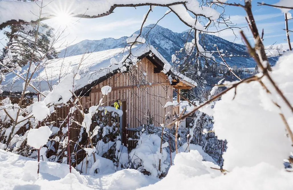 AlohaCamp accommodaties Luxus Ferienhaus für Familie und Hund 5