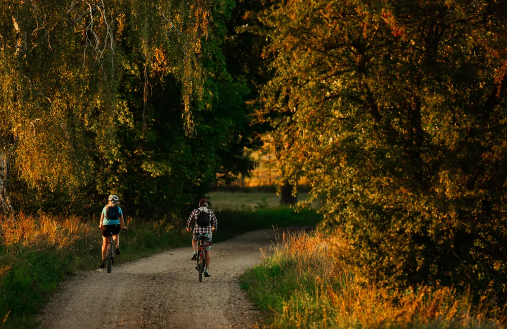 AlohaCamp Kamper plac 1