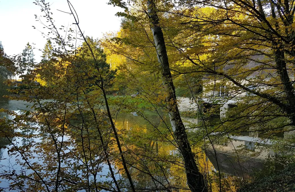 noclegi AlohaCamp Nid dans la forêt 5