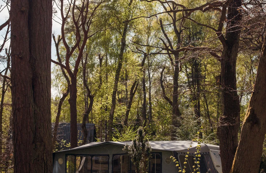 noclegi AlohaCamp Szumi las, szumi morze 5