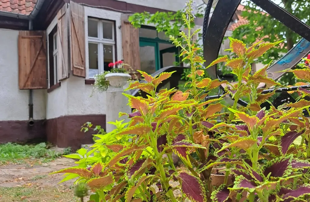 noclegi AlohaCamp Pokoje- Dom na Mazurach Pilec 2