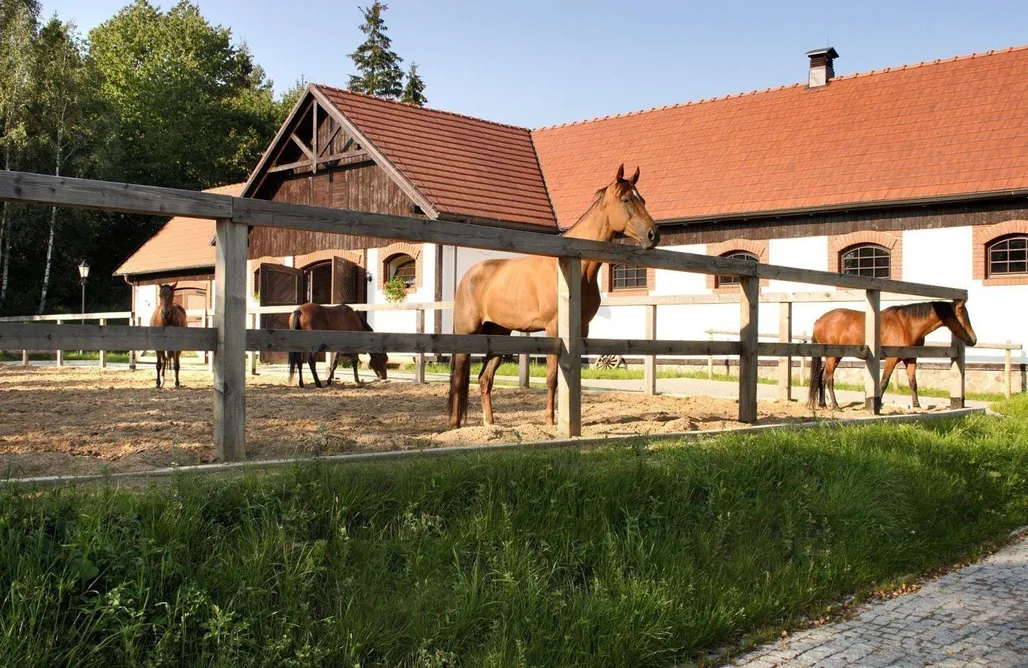 noclegi AlohaCamp Hotel SPA Dr Irena Eris Wzgórza Dylewskie - Siedliska  1
