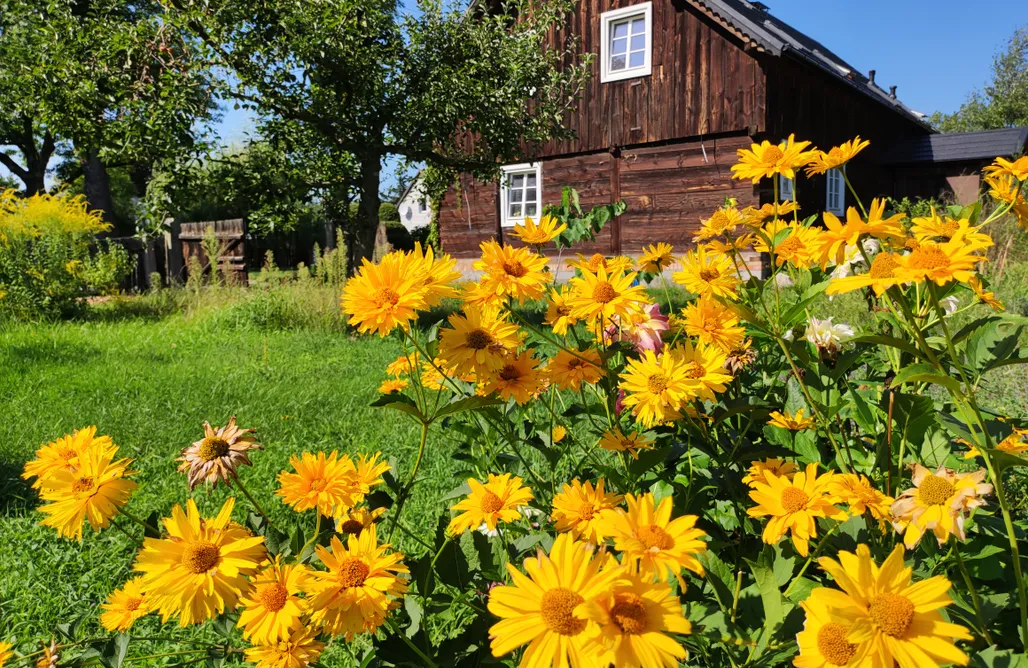 Urlaub auf dem Bauernhof Olęderska Zagroda Pracownia Boruja 2