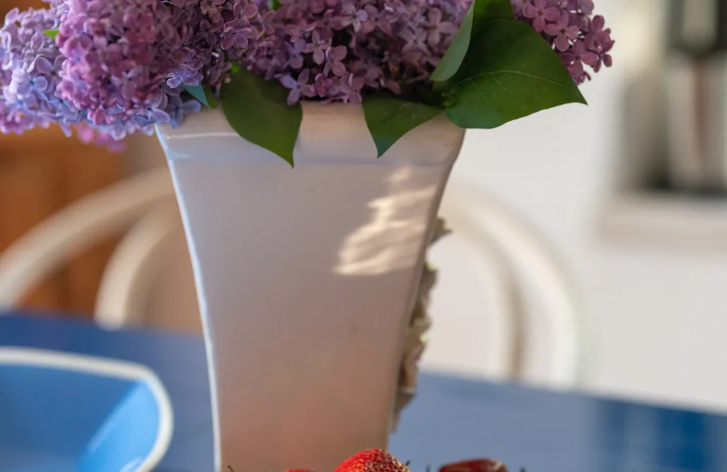 noclegi AlohaCamp Polna 17 1