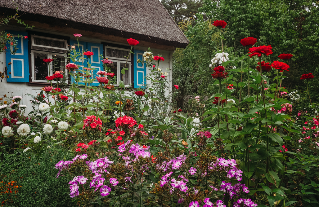 Czerwińsk nad Wisłą Domki Siedlisko Olenderskie 1