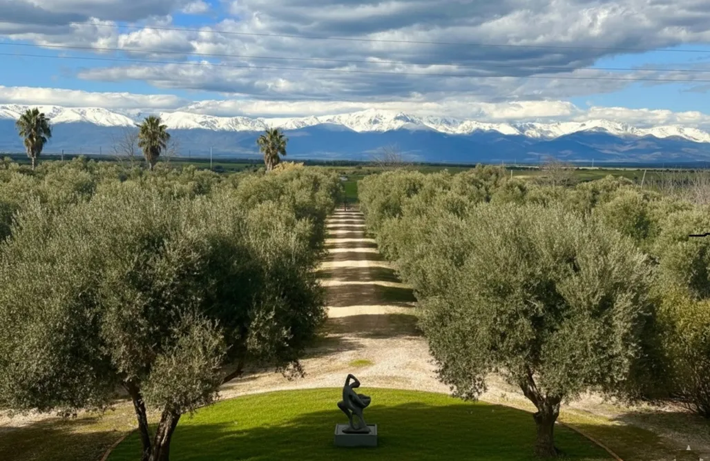 AlohaCamp accommodation Casona Monte Lumina 5