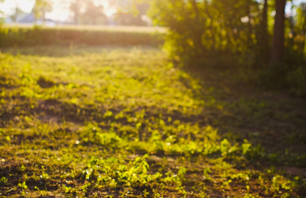 noclegi AlohaCamp Miejsce kamperowe i namiotowe - Pracownia 1