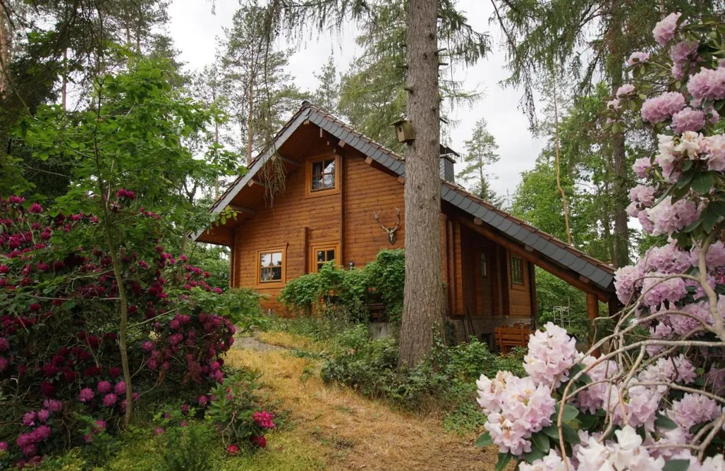 noclegi AlohaCamp Waldhaus Eichhörnchen 5