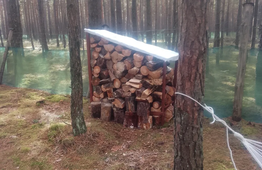 AlohaCamp accommodaties Zew natury - glamping 1