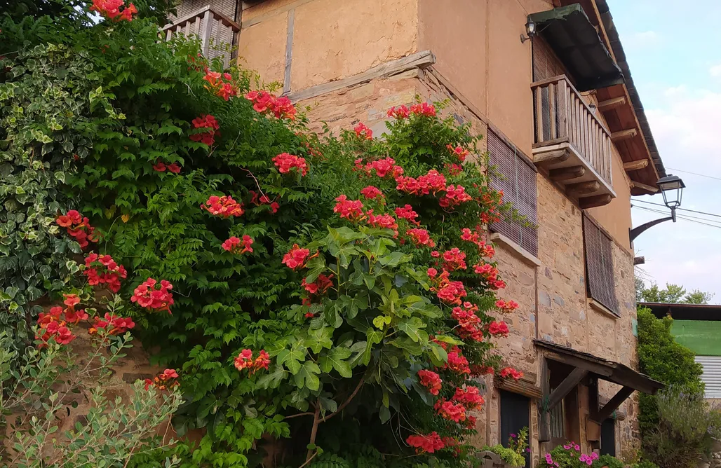 noclegi AlohaCamp Casa Rural La Candea del Bierzo 3