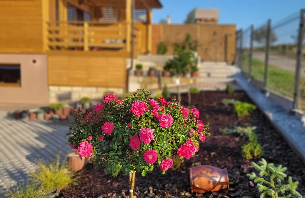 noclegi AlohaCamp Stefania domki 4