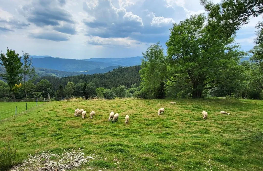 Unterkunft AlohaCamp Haus am Hochwechsel 4