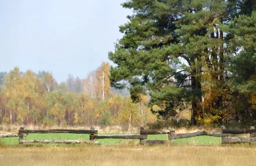 Zdjęcie obiektu Wieża Marzeń