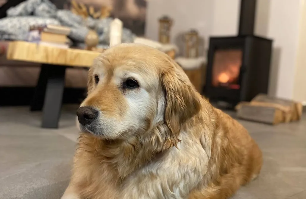 AlohaCamp Apartament widokowy #1 4