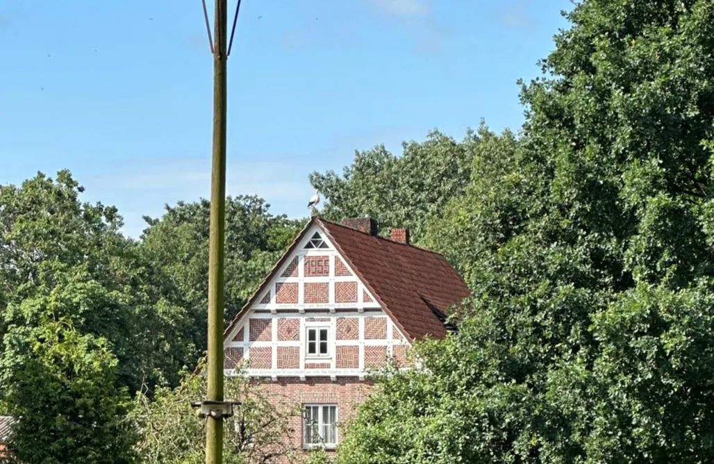 Dümmer See Ferienhaus Utspann 3