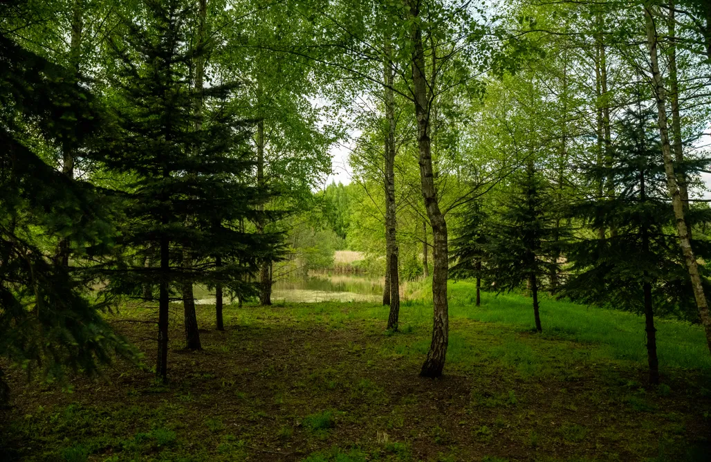 Stromiec noclegi Stacja Natura 1