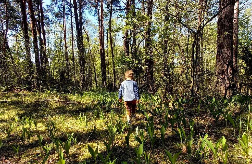 alojamientos AlohaCamp Kubusiowe Siedlisko - 30km od Warszawy 2