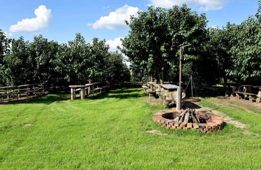 Jezioro Tarnobrzeskie Noclegi Miejsce kamperowe - Winnica Knapów 3