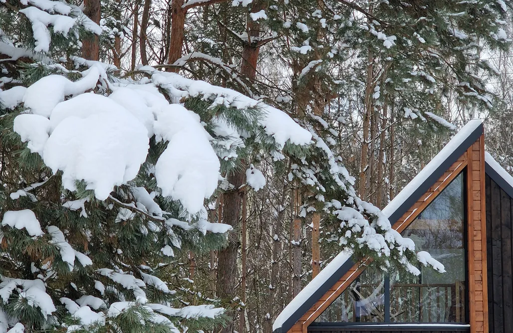 Swobodnia - domek z wanną z widokiem na las AlohaCamp