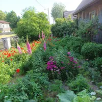 Bartłomiej host Chałupka na Brodziakach