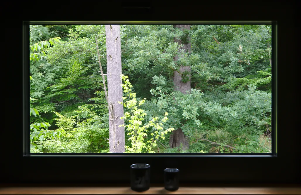 Unterkunft AlohaCamp Baumwipfelhaus Scharfenstein-Loft 1