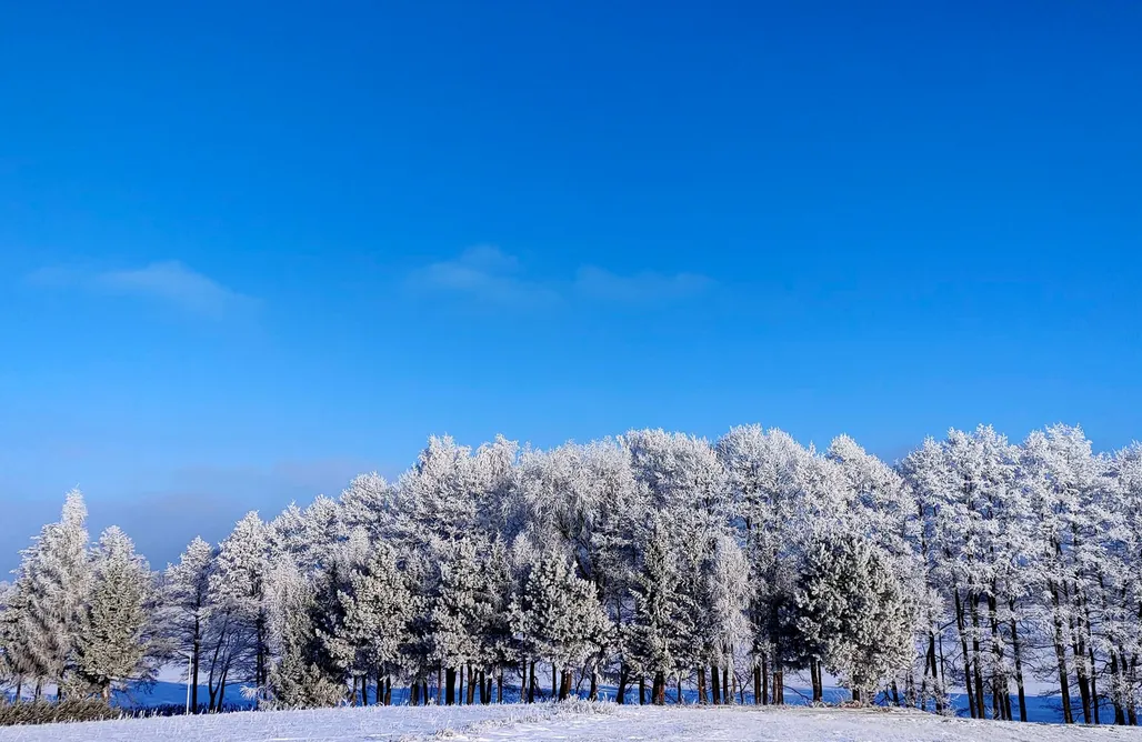 AlohaCamp Mały domek 1