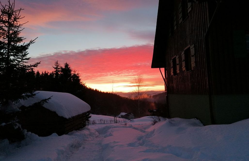 AlohaCamp Apartament Malwowy 3